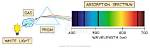 Why Absorption Is Spectroscopy?