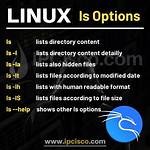 Why After Write Command Ls I Can't See Real Folders?
