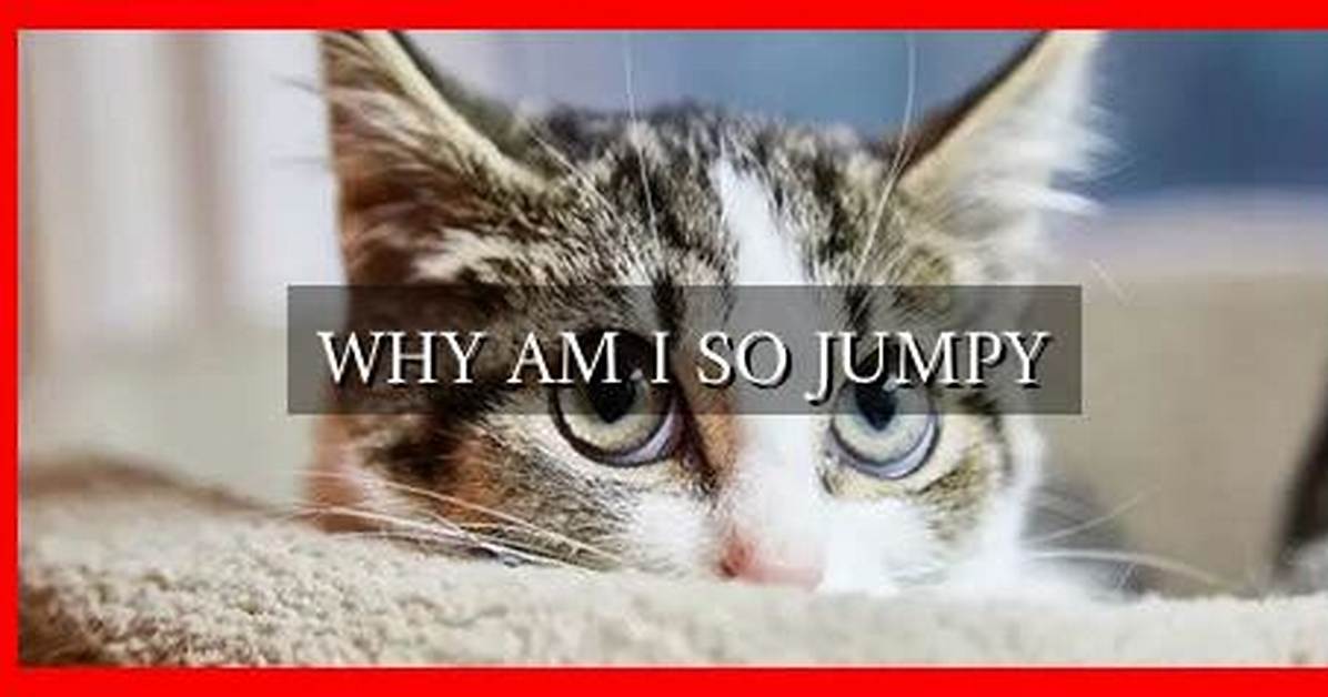 Why Am I Extremely Jumpy?
