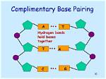 Why Are Bases Complementary?