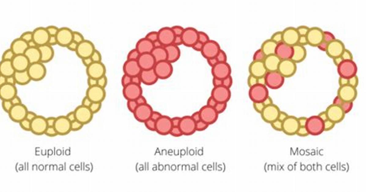 Why Are Embryos Abnormal?