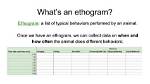 Why Are Ethograms Used
