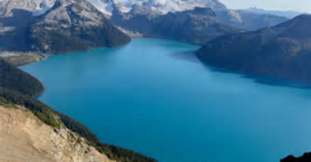 Why Are Garibaldi Protected?