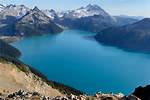 Why Are Garibaldi Protected?