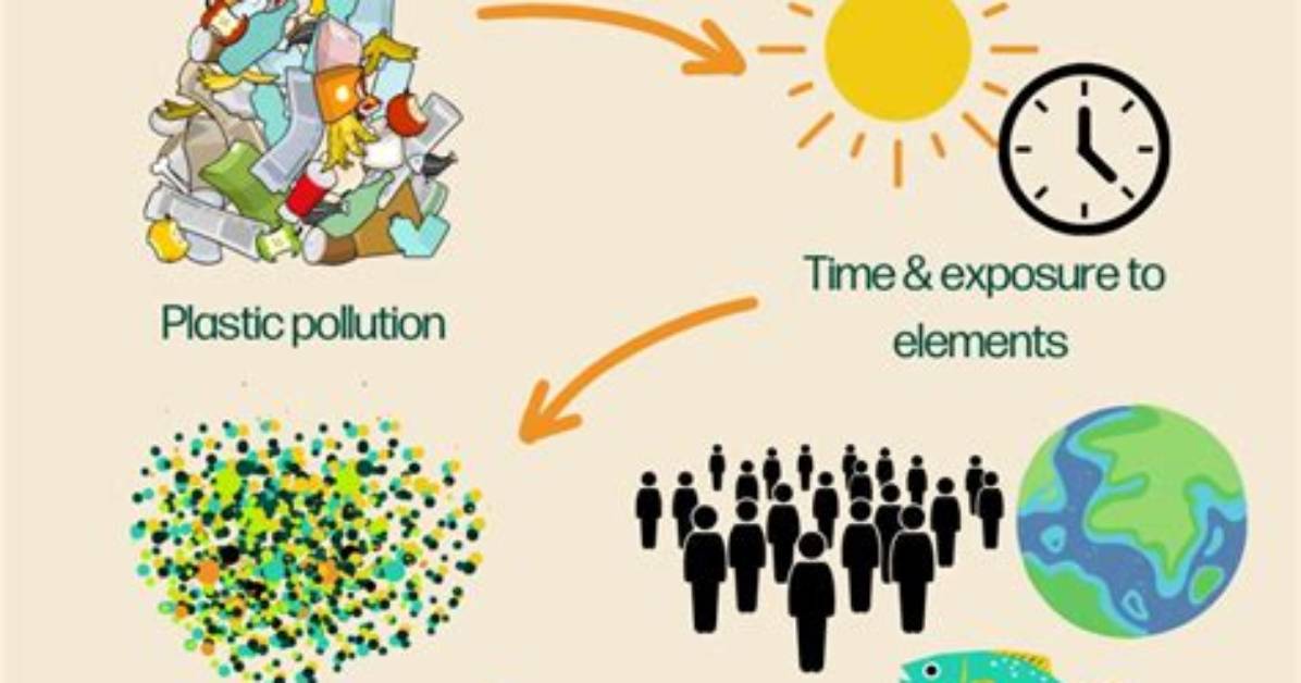 Why Are Microplastics a Problem?