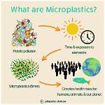 Why Are Microplastics a Problem?