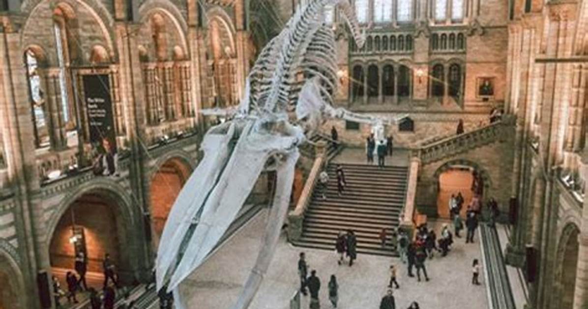 Why Are Museums Fun?