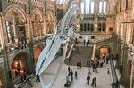 Why Are Museums Fun?