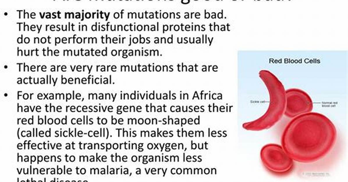 Why Are Mutations Bad?