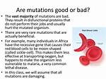 Why Are Mutations Bad?