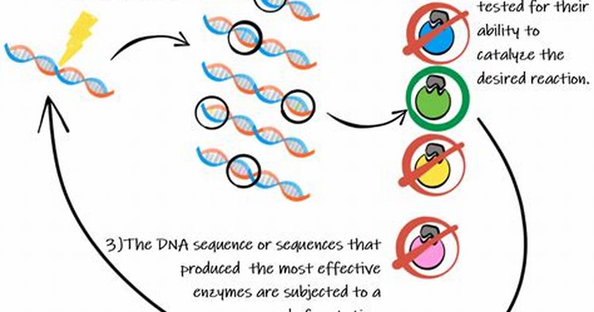 Why Are Mutations Random?