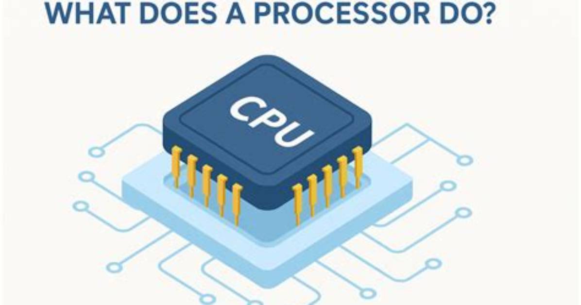 Why Are Processors Important?