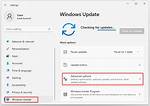 Why Are Some Windows Updates Optional?