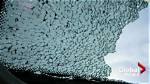 Why Are Sunroofs Exploding