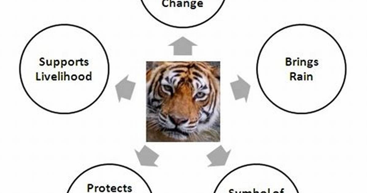 Why Are Tigers Important? | Contextresponse. Com