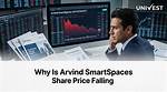 Why Arvind Ltd Share Falling?