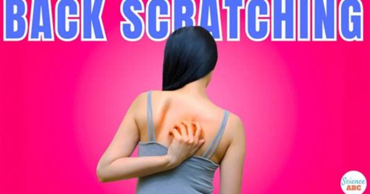 Why Back Scratching Feels Good?