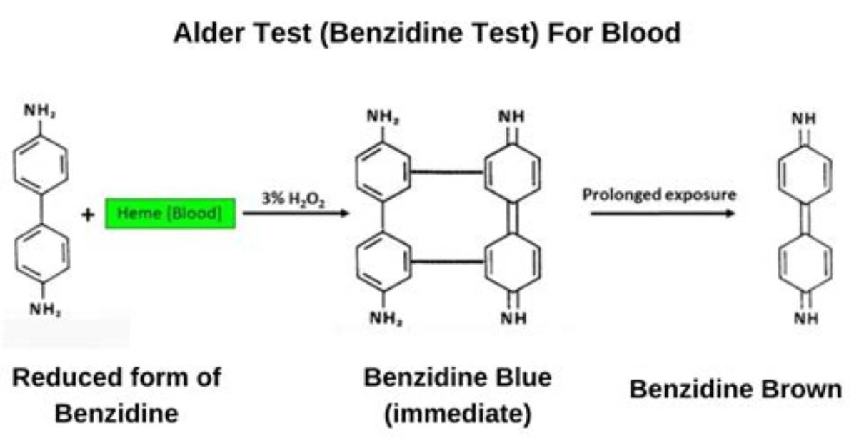 Why Benzidine Test Is Done?
