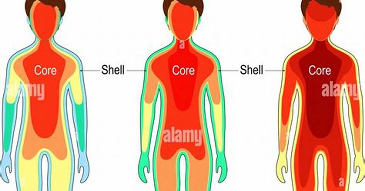 Why Body Temperature Increases?
