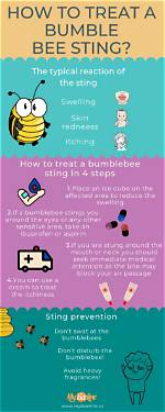 Why Bumble Bees Sting?