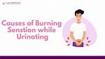 Why Burning Sensation While Urinating?