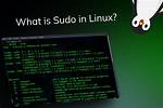 Why Can't Sudo Find a Command After I Added It to Path?