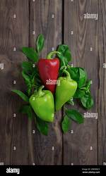 Why Capsicum Is Called Pepper?