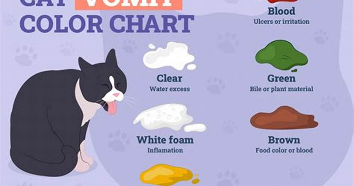 Why Cats Throw up?
