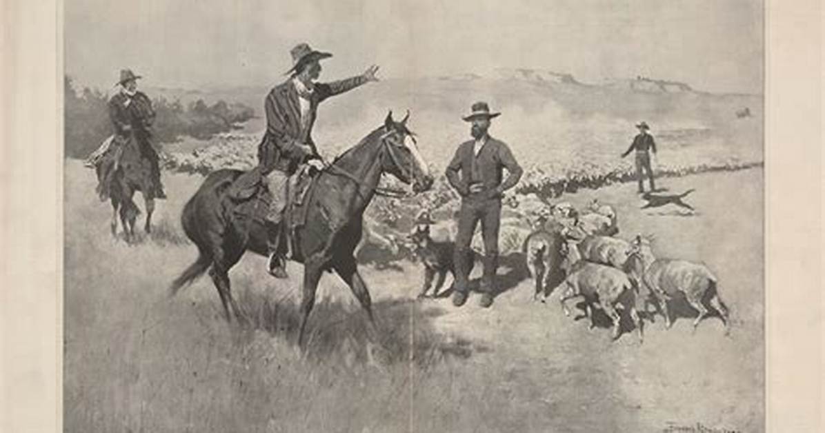 Why Cattlemen Hate Sheep?