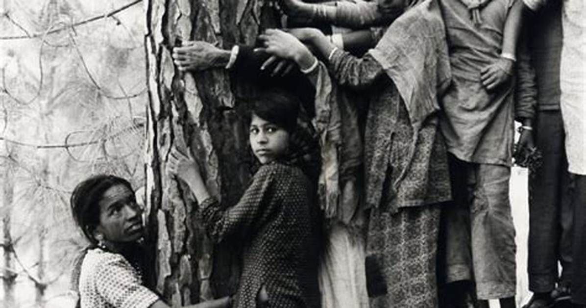 Why Chipko Movement Started?
