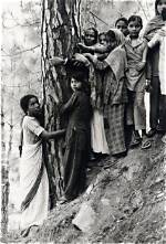 Why Chipko Movement Started?