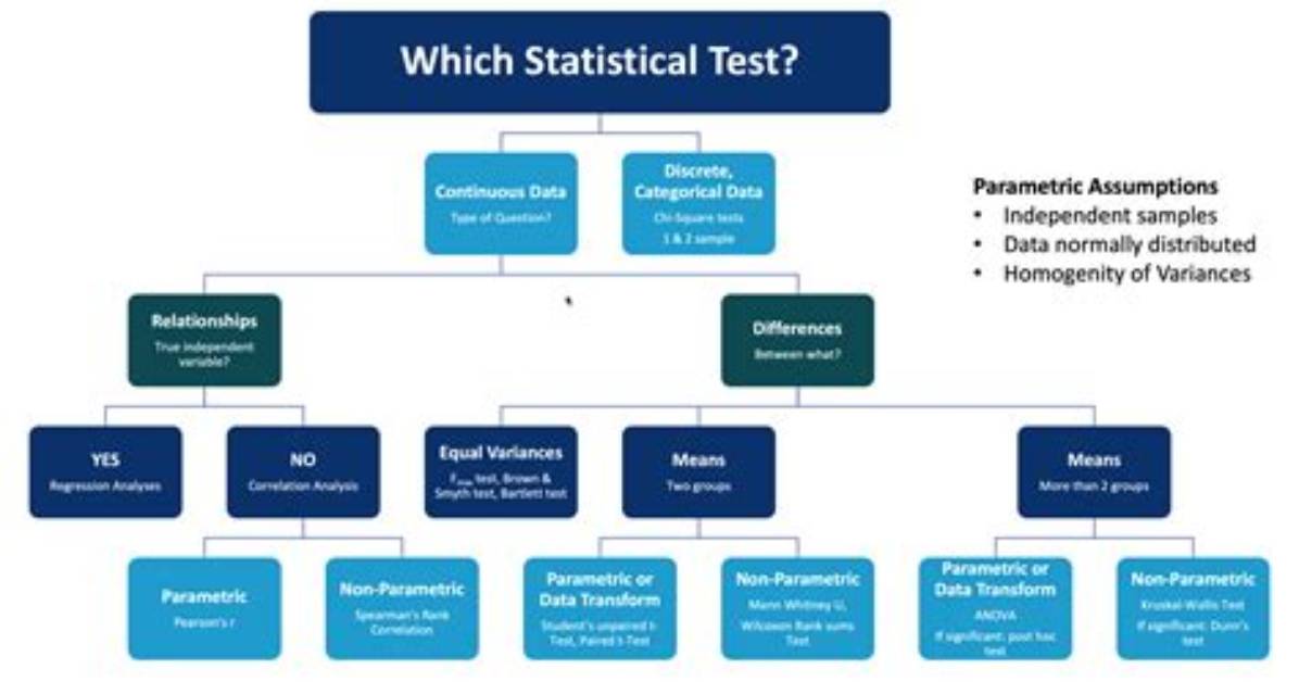 Why Choose Statistical Test?
