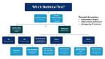Why Choose Statistical Test?