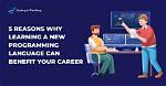 Why Create New Programming Language?