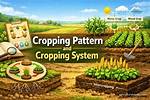 Why Cropping Pattern Differ?