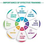 Why Customization Is Important in Training?