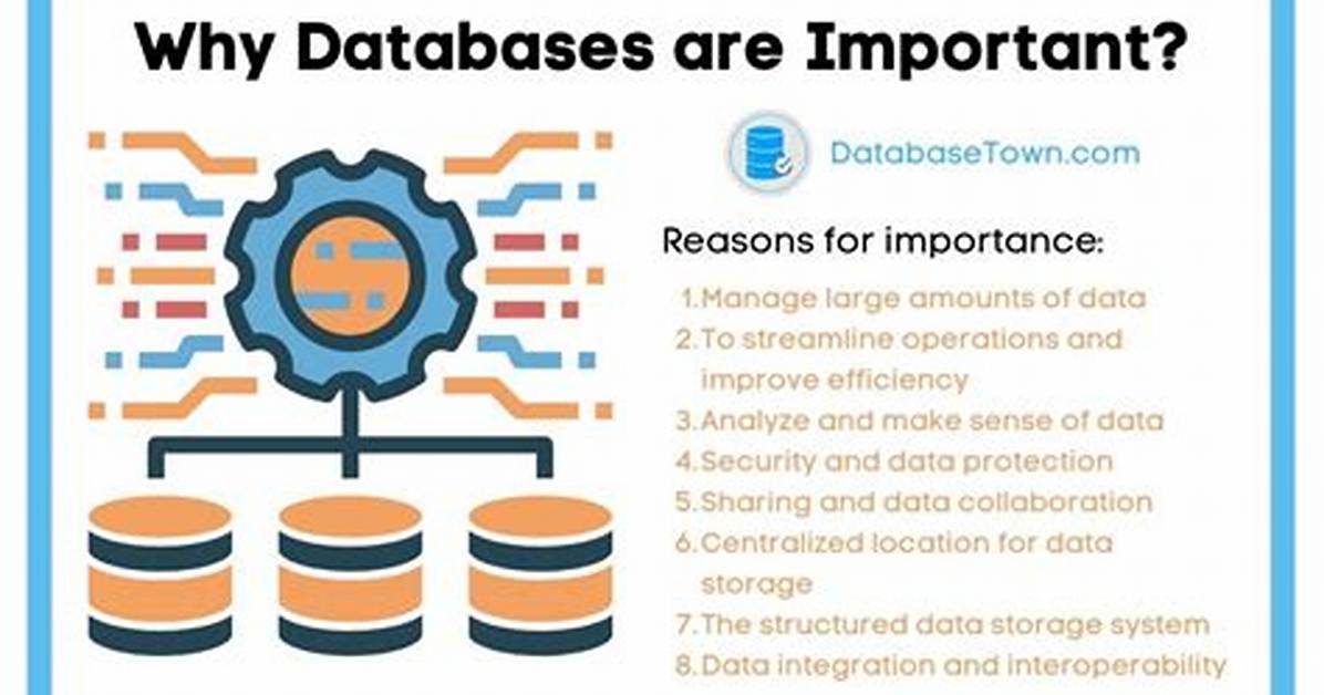 Why Database Is Important?
