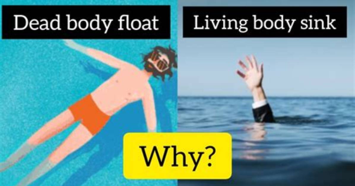 Why Dead Float on Water?