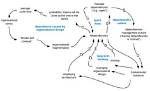 Why Dependencies Are Bad?