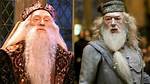 Why Did Dumbledore