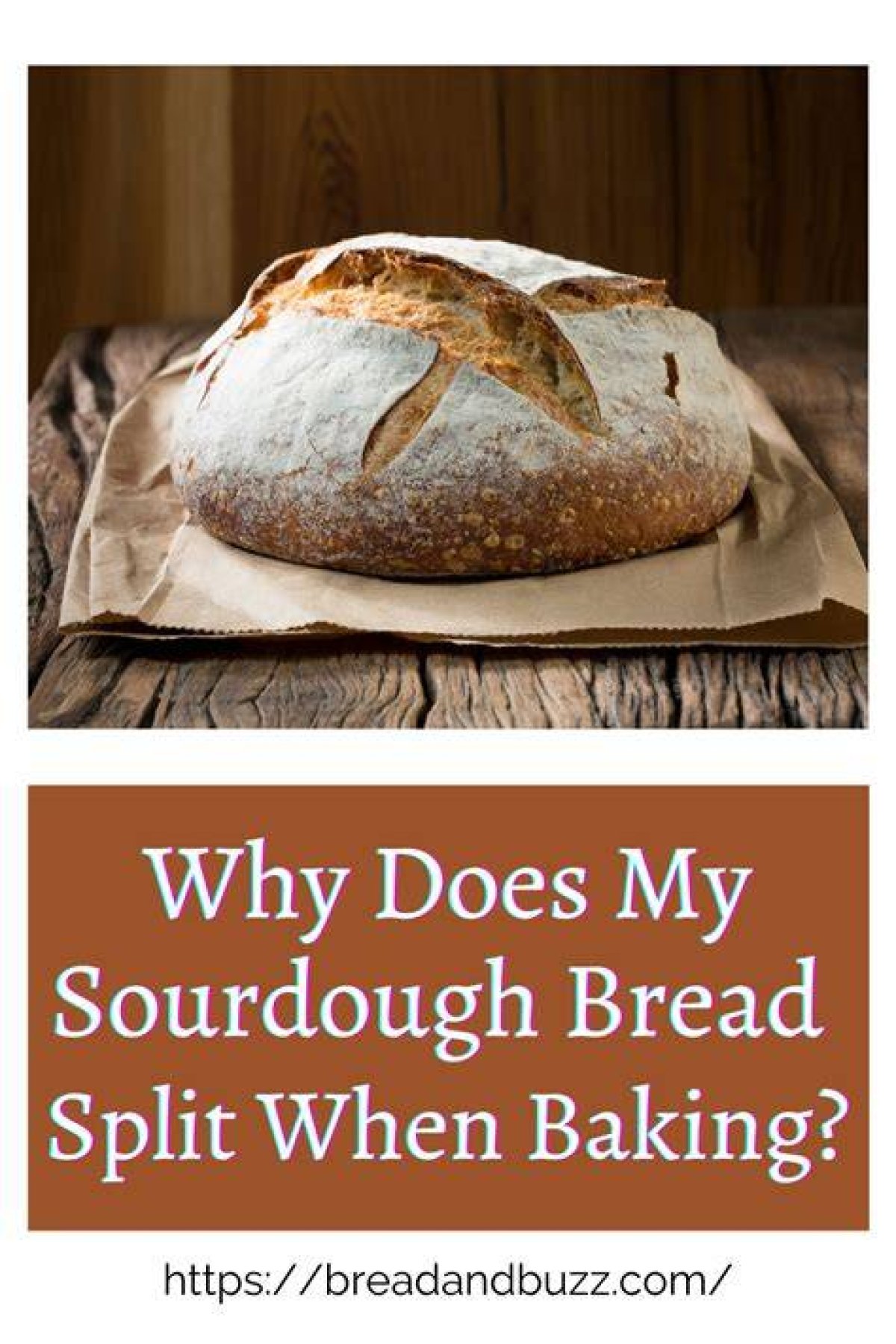 Why Did My Bread Split at the Bottom?