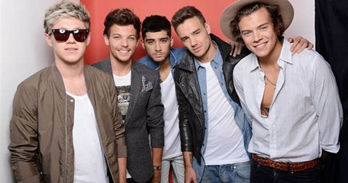 Why Did One Direction Start?