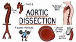 Why Dissection Is Wrong?