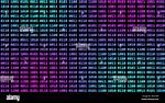 Why Do 4 Digit Binary Numbers Have 16 Solutions, and 3 Digits 8? [Closed]