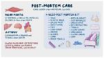 Why Do a Post Mortem?