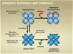 Why Do Activators Affect Enzymes?