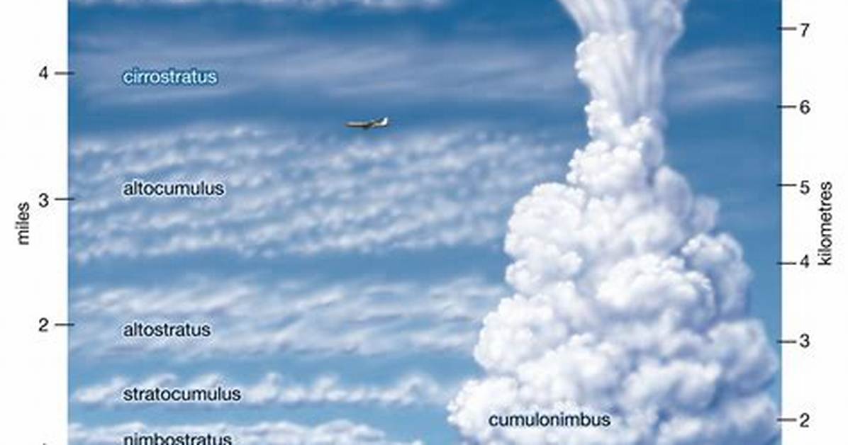 Why Do Altocumulus Clouds Form?