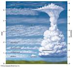 Why Do Altocumulus Clouds Form?