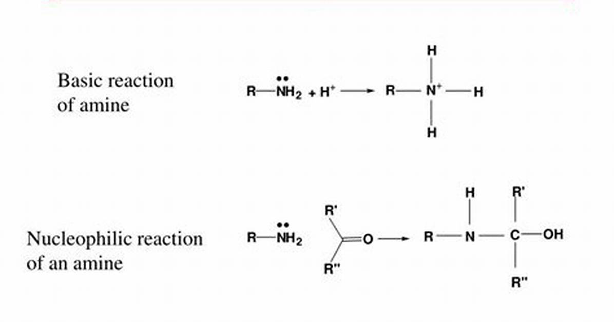 Why Do Amines React as Nucleophiles?