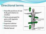 Why Do Anatomists Use Directional Terms?